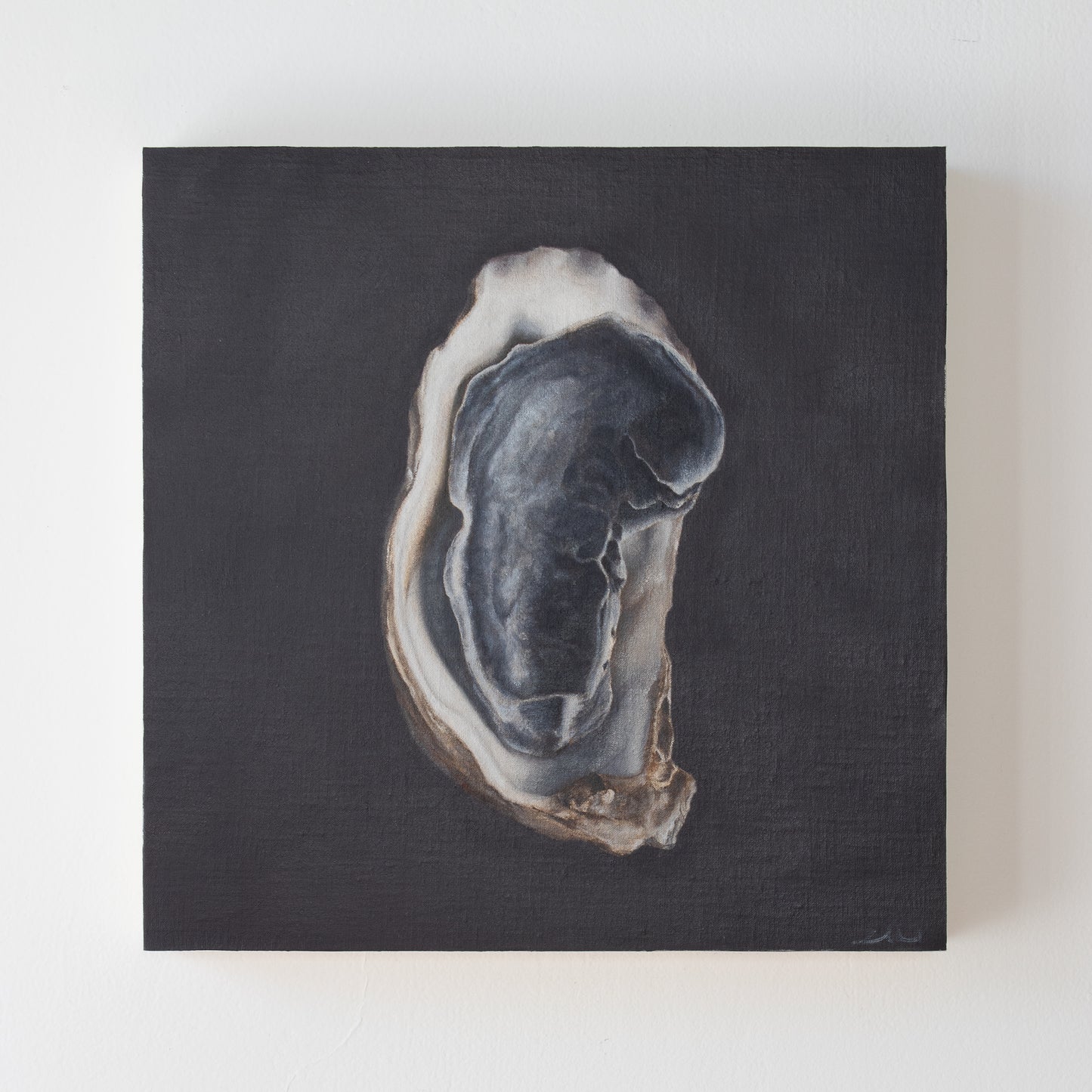 Nested Oyster Shells