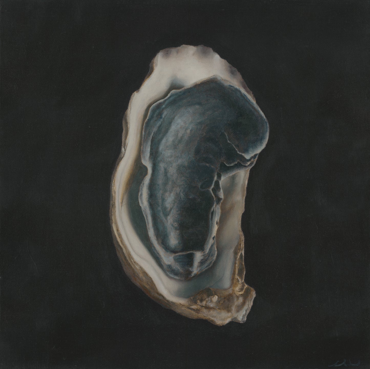 Nested Oyster Shells