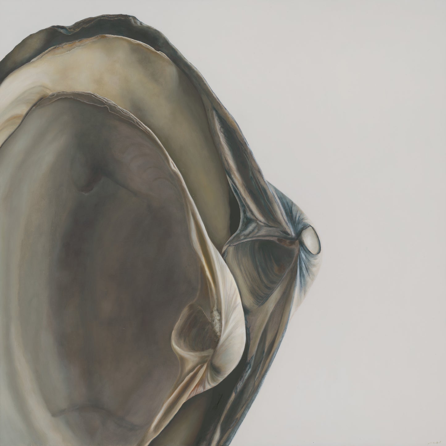 Nested Surf Clams No. 4