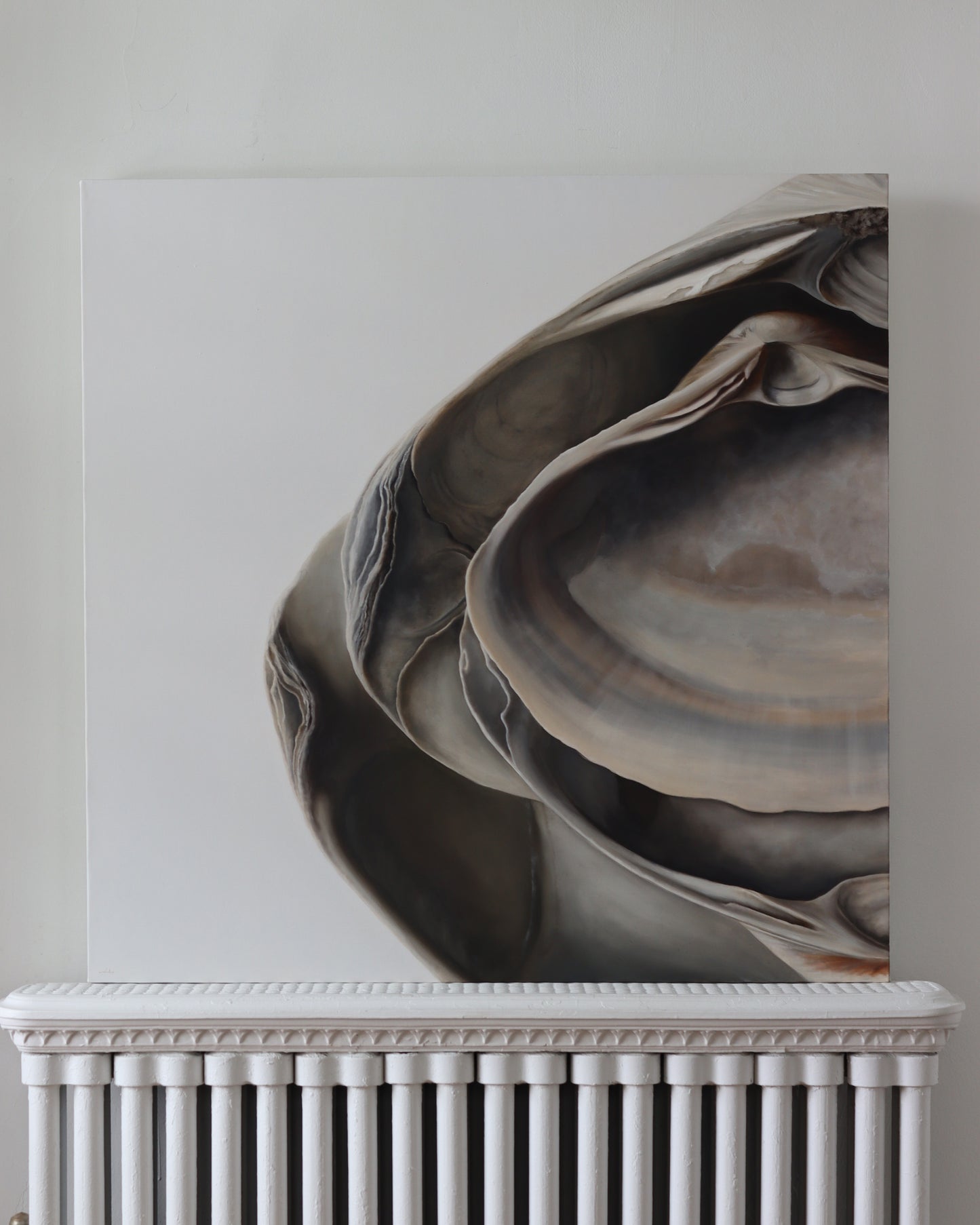 Nested Surf Clams No. 5