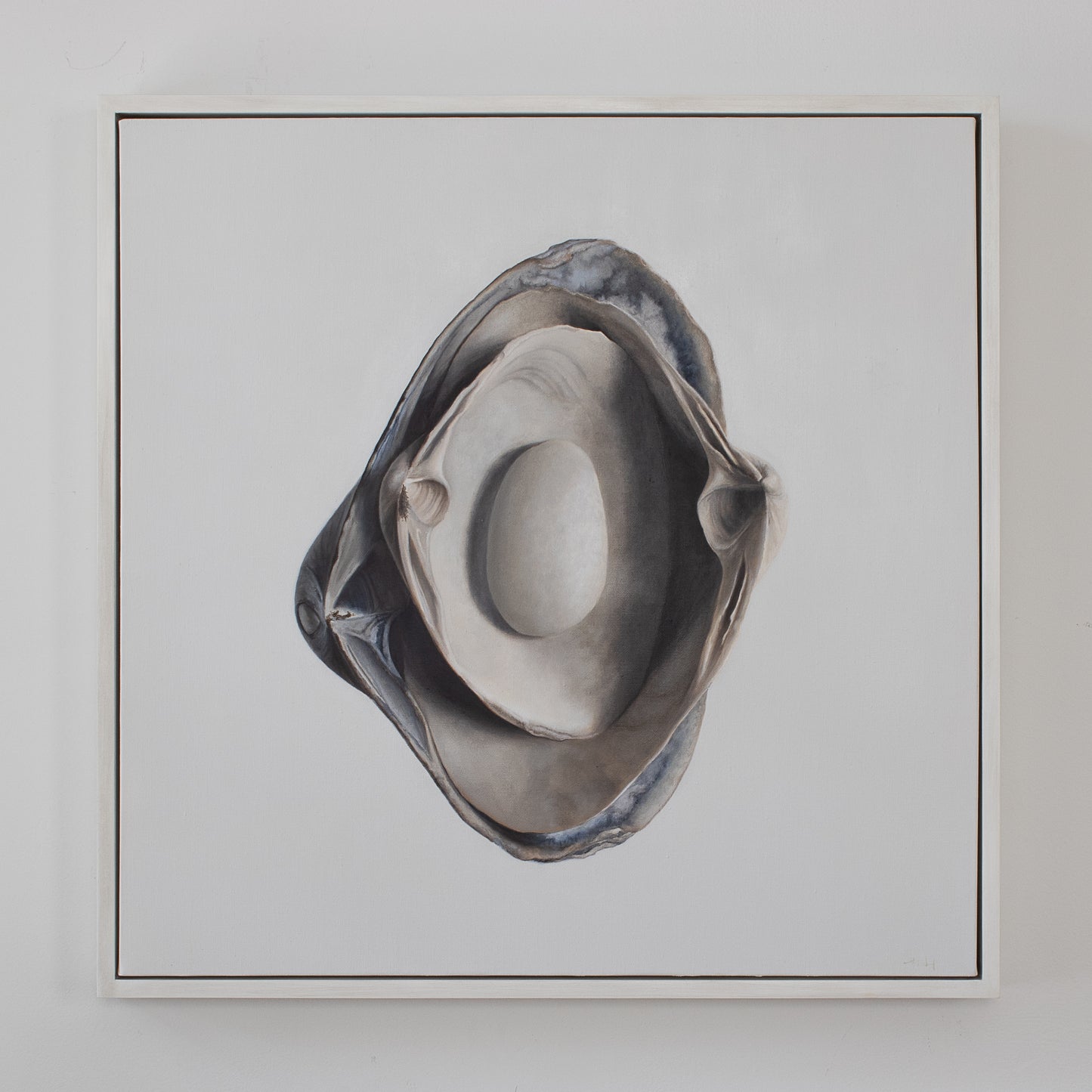 Nested Surf Clams + Stone No. 2