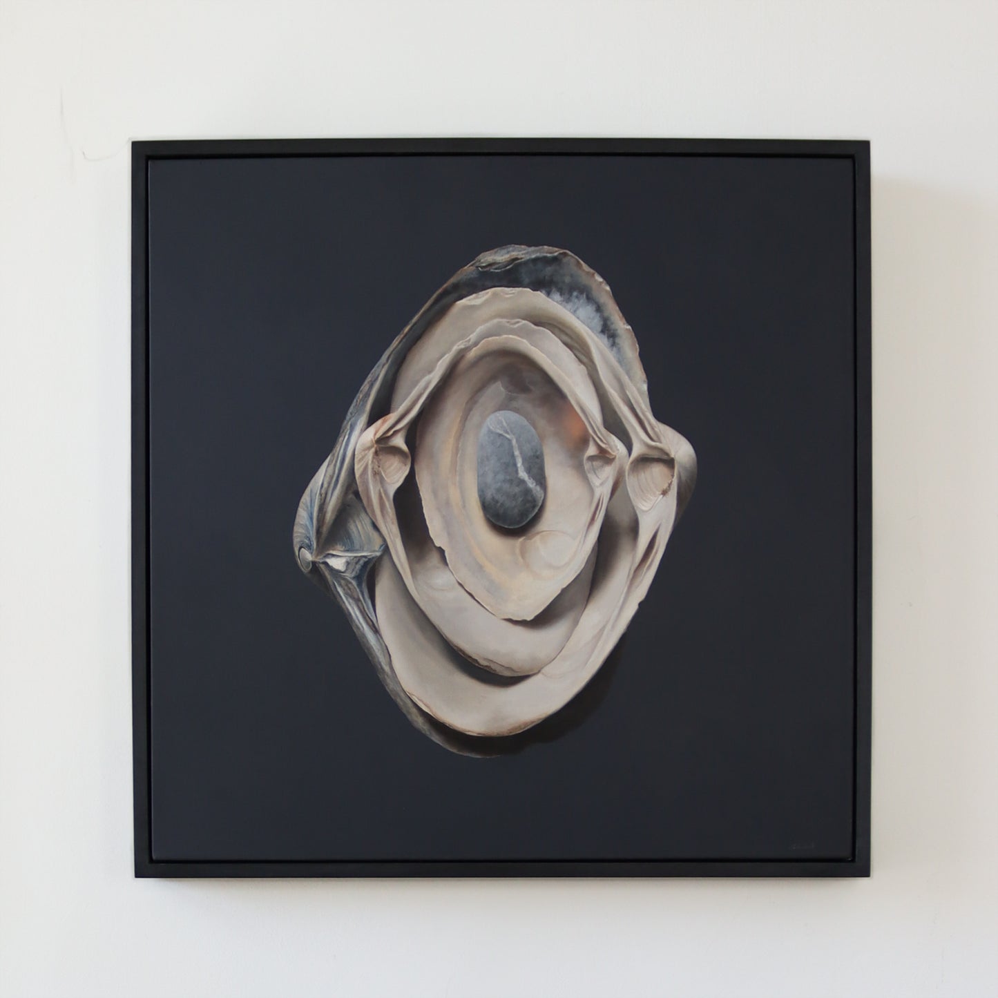 Nested Surf Clams + Stone