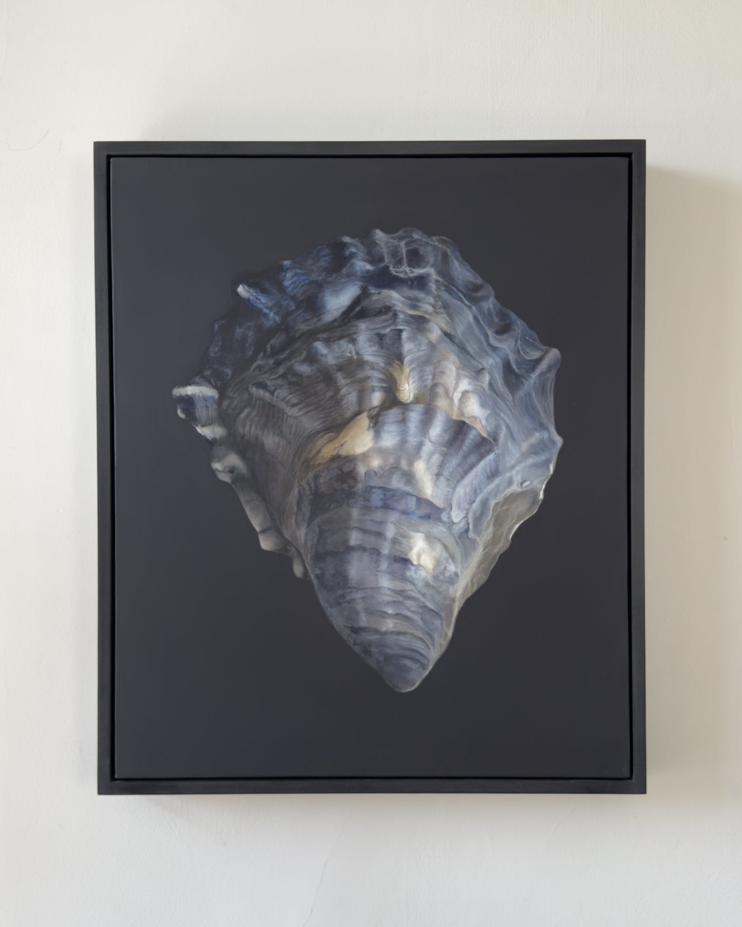 Oyster Shell No. 4