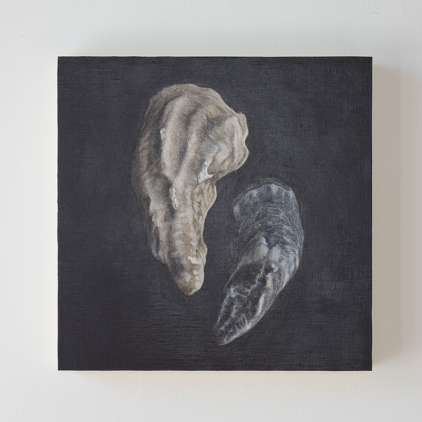 Oyster Shell Duo