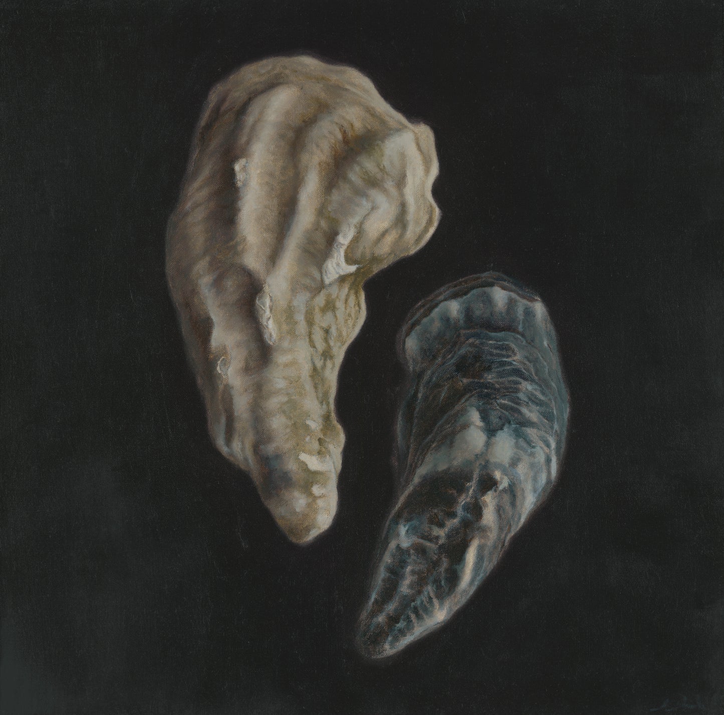 Oyster Shell Duo