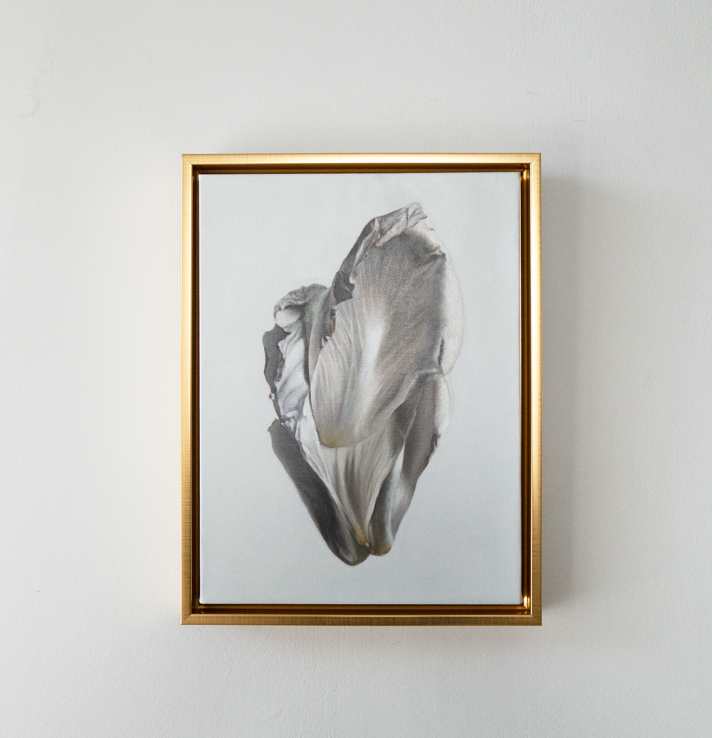 'Peony Petals No. 8'