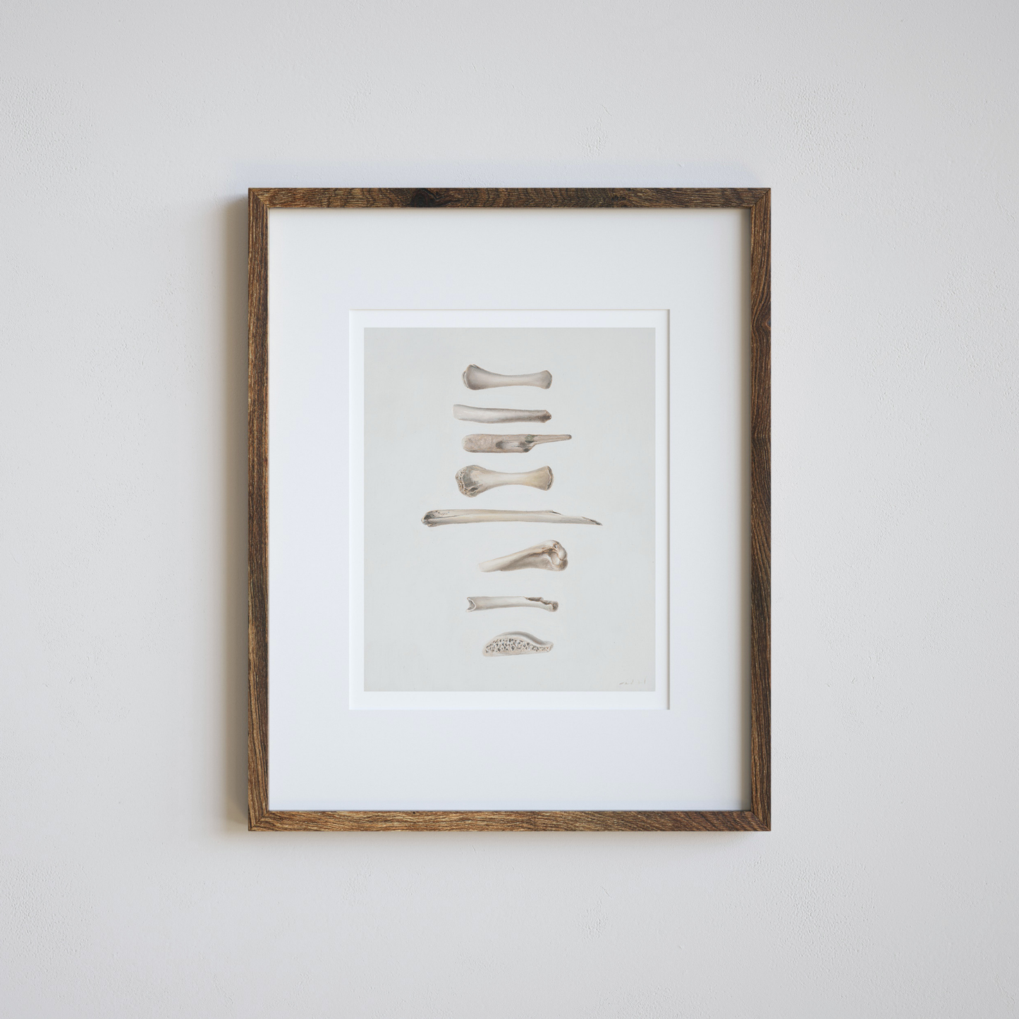 'Bones No. 1' Limited Edition Print