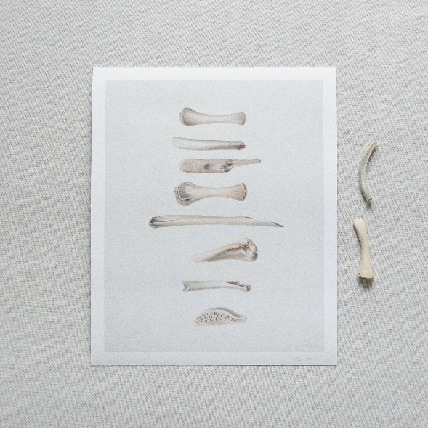 'Bones No. 1' Limited Edition Print