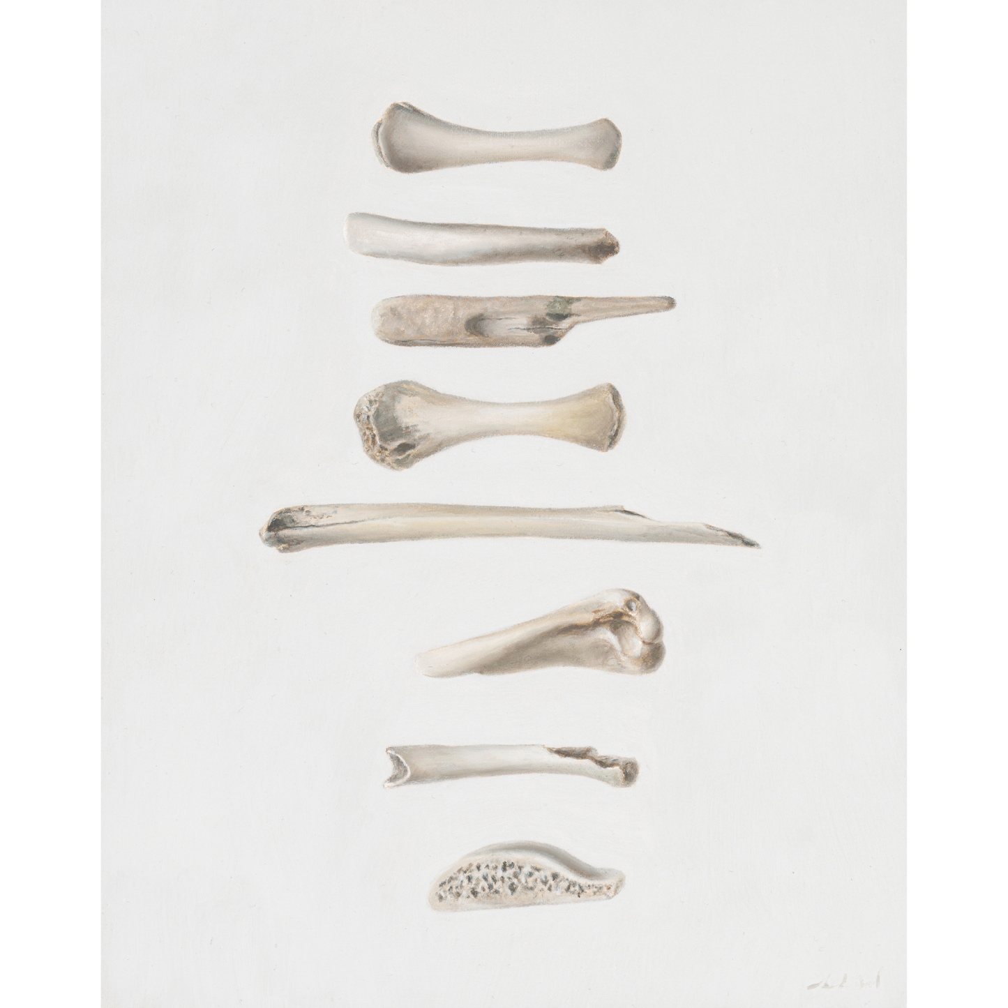 'Bones No. 1' Limited Edition Print