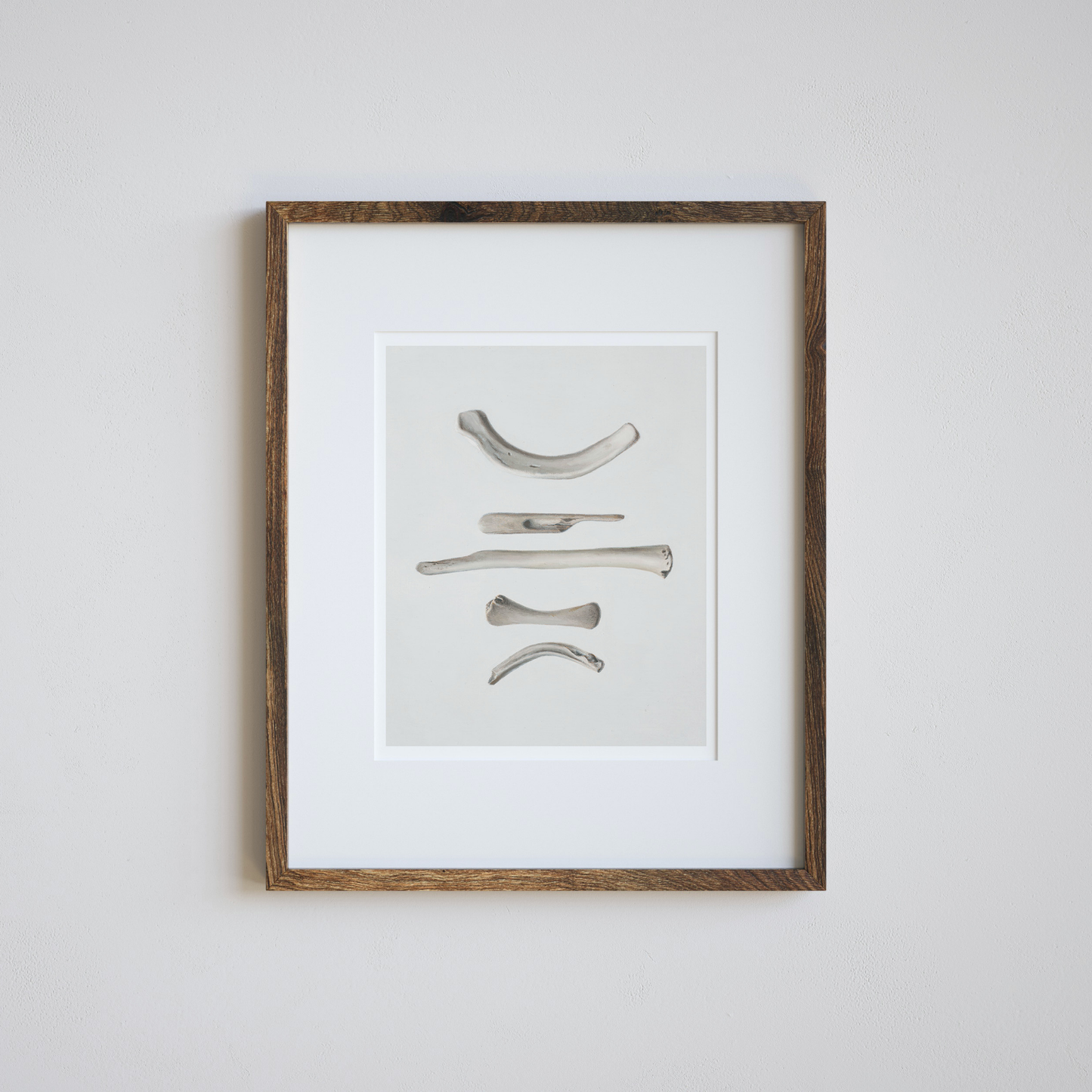 'Bones No. 2' Limited Edition Print