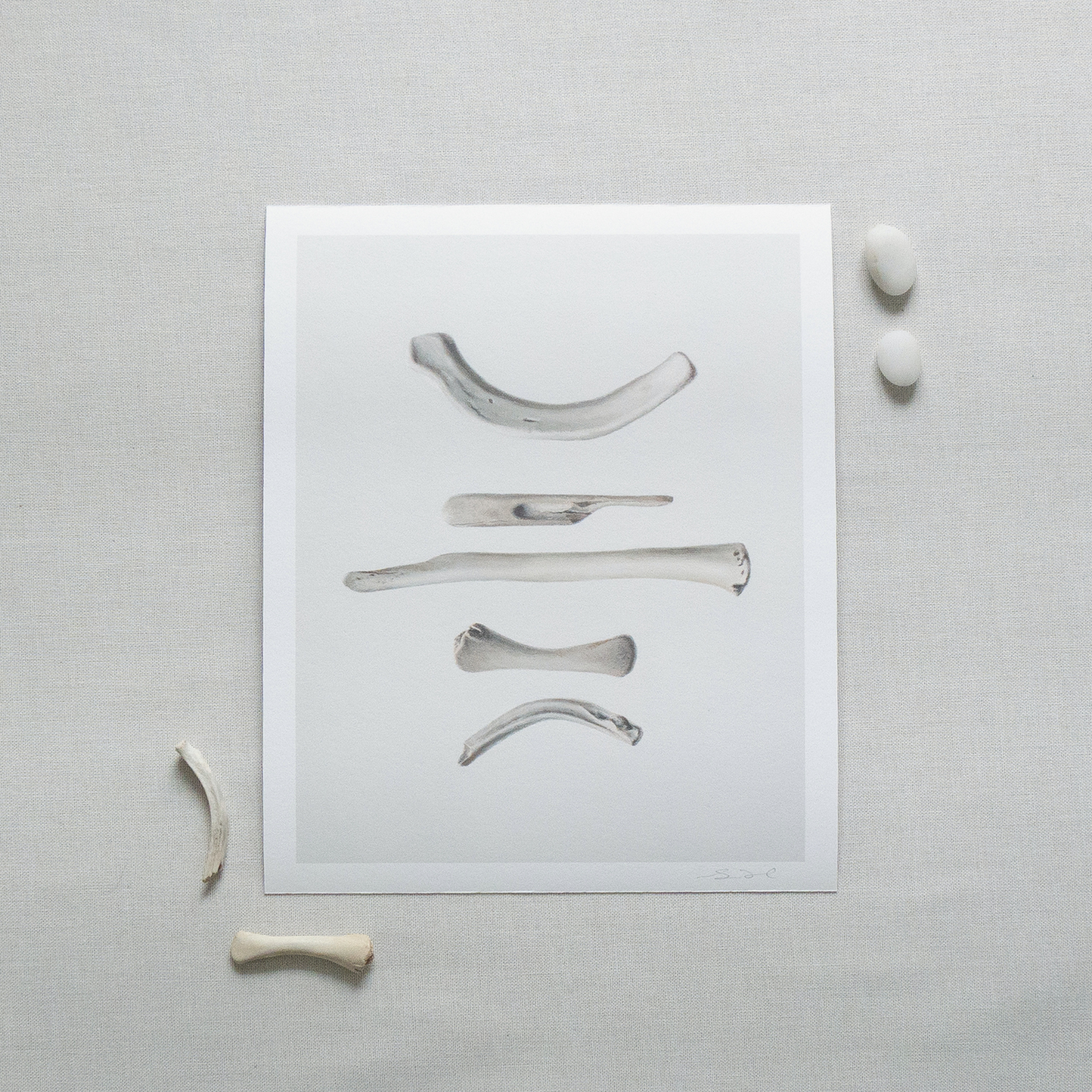 'Bones No. 2' Limited Edition Print