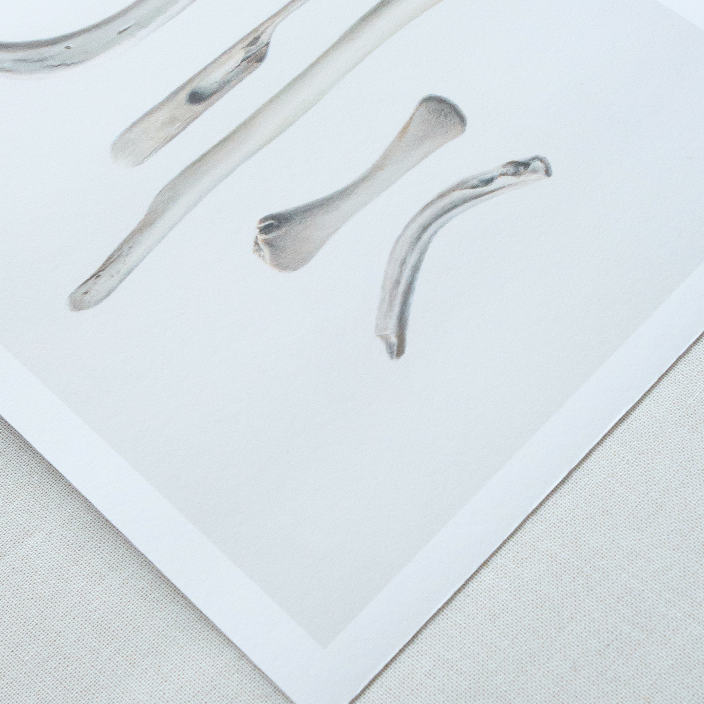 'Bones No. 2' Limited Edition Print