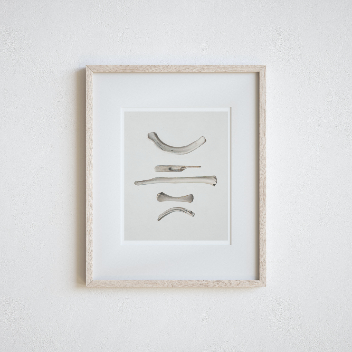 'Bones No. 2' Limited Edition Print