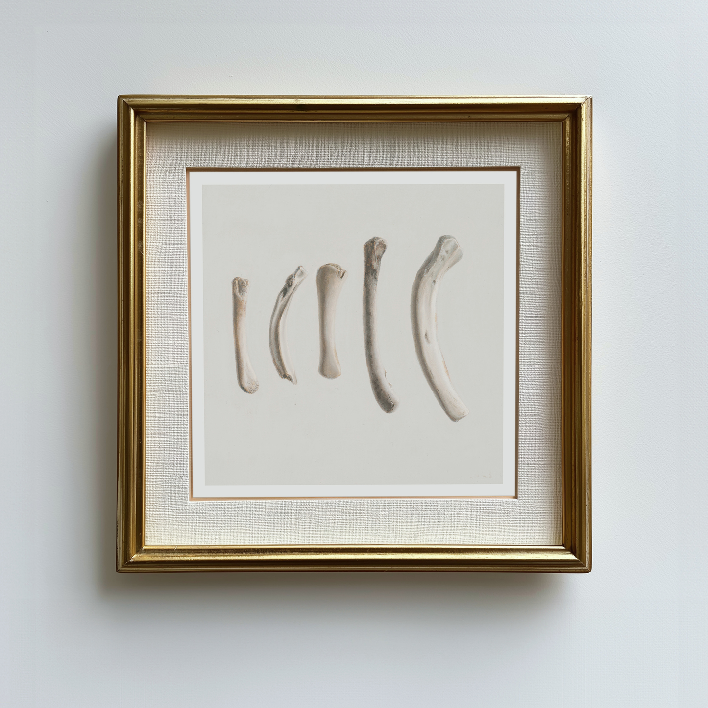 'Bones No. 3' Limited Edition Print