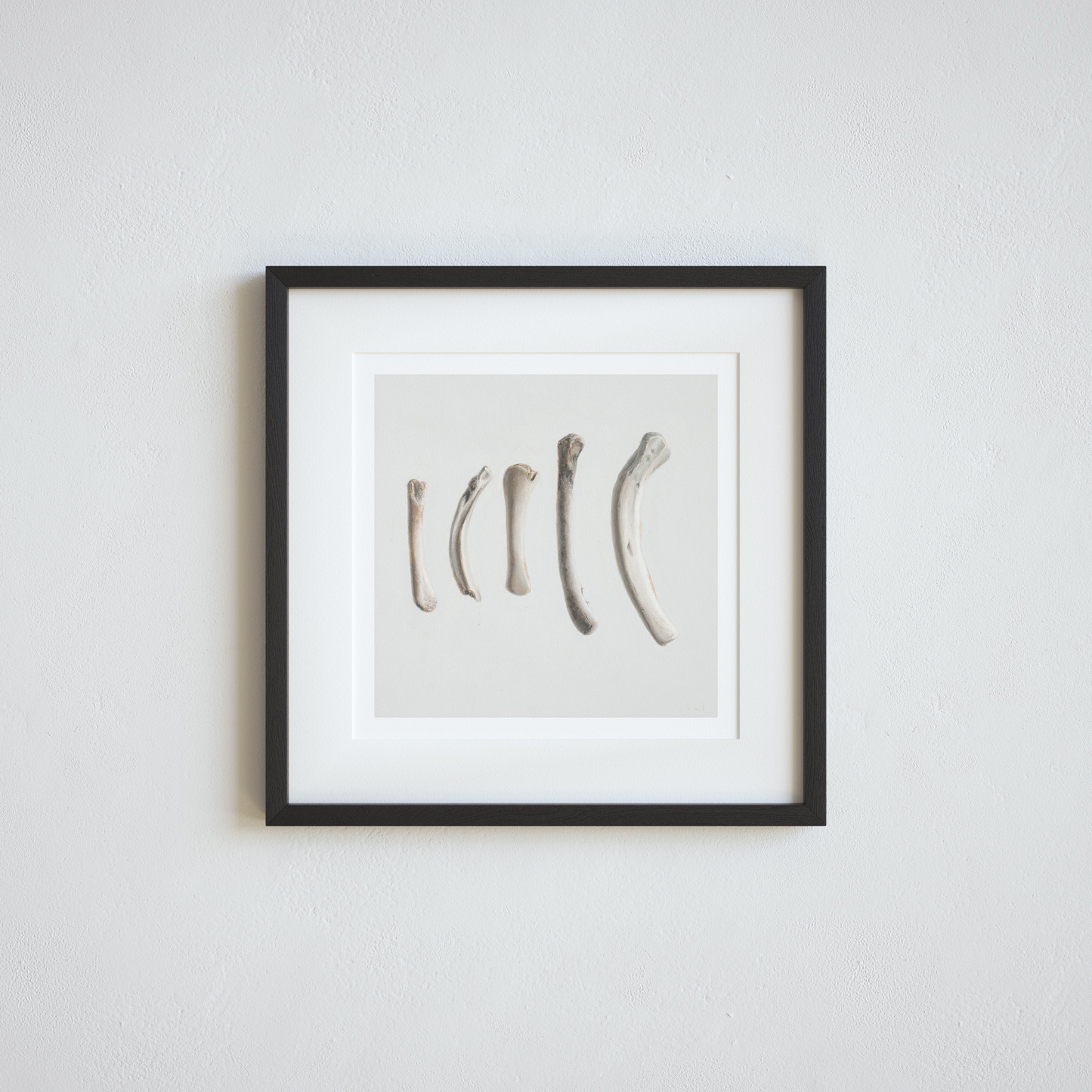 'Bones No. 3' Limited Edition Print