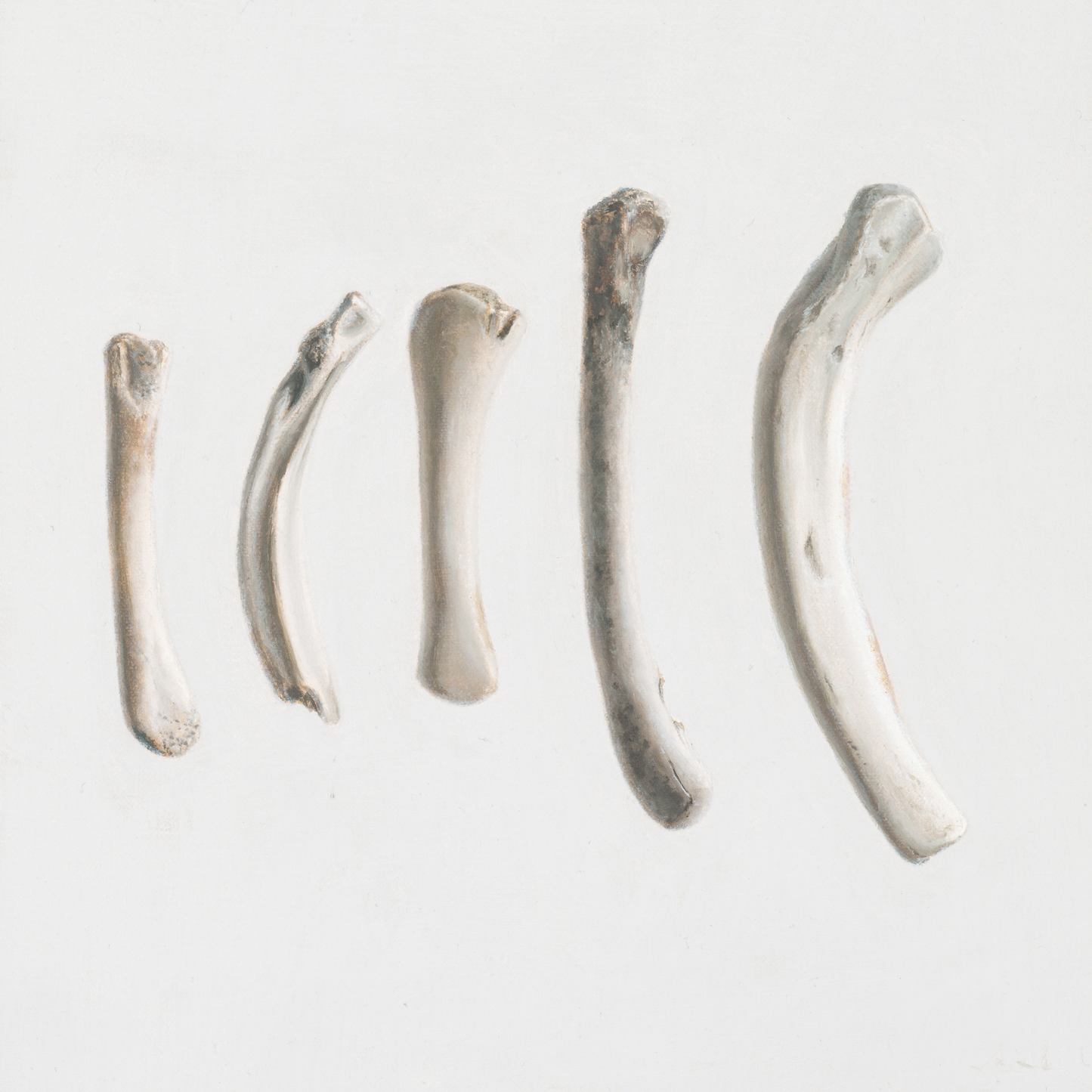 'Bones No. 3' Limited Edition Print