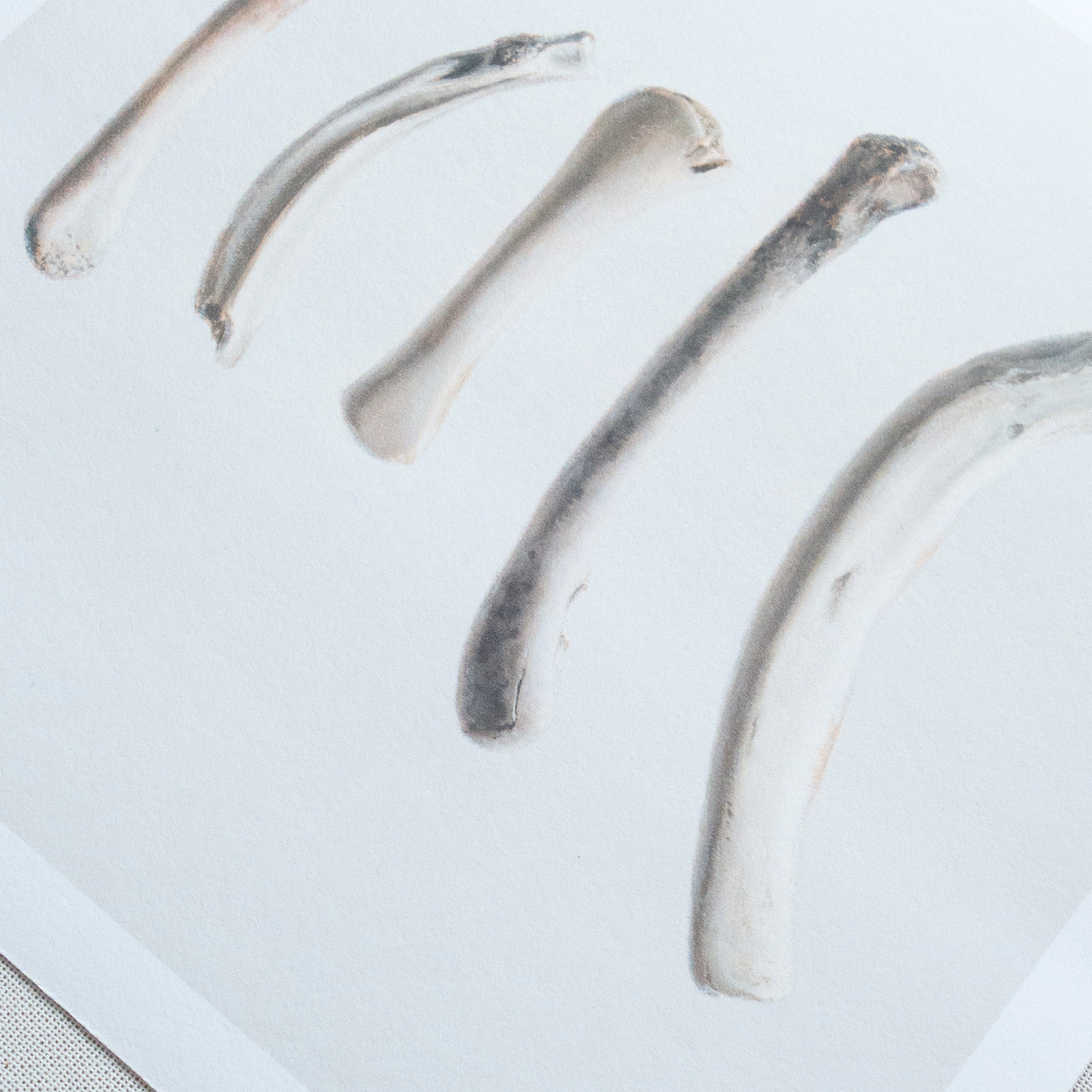 'Bones No. 3' Limited Edition Print