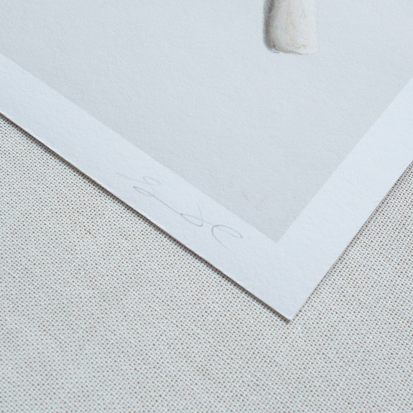 'Bones No. 3' Limited Edition Print
