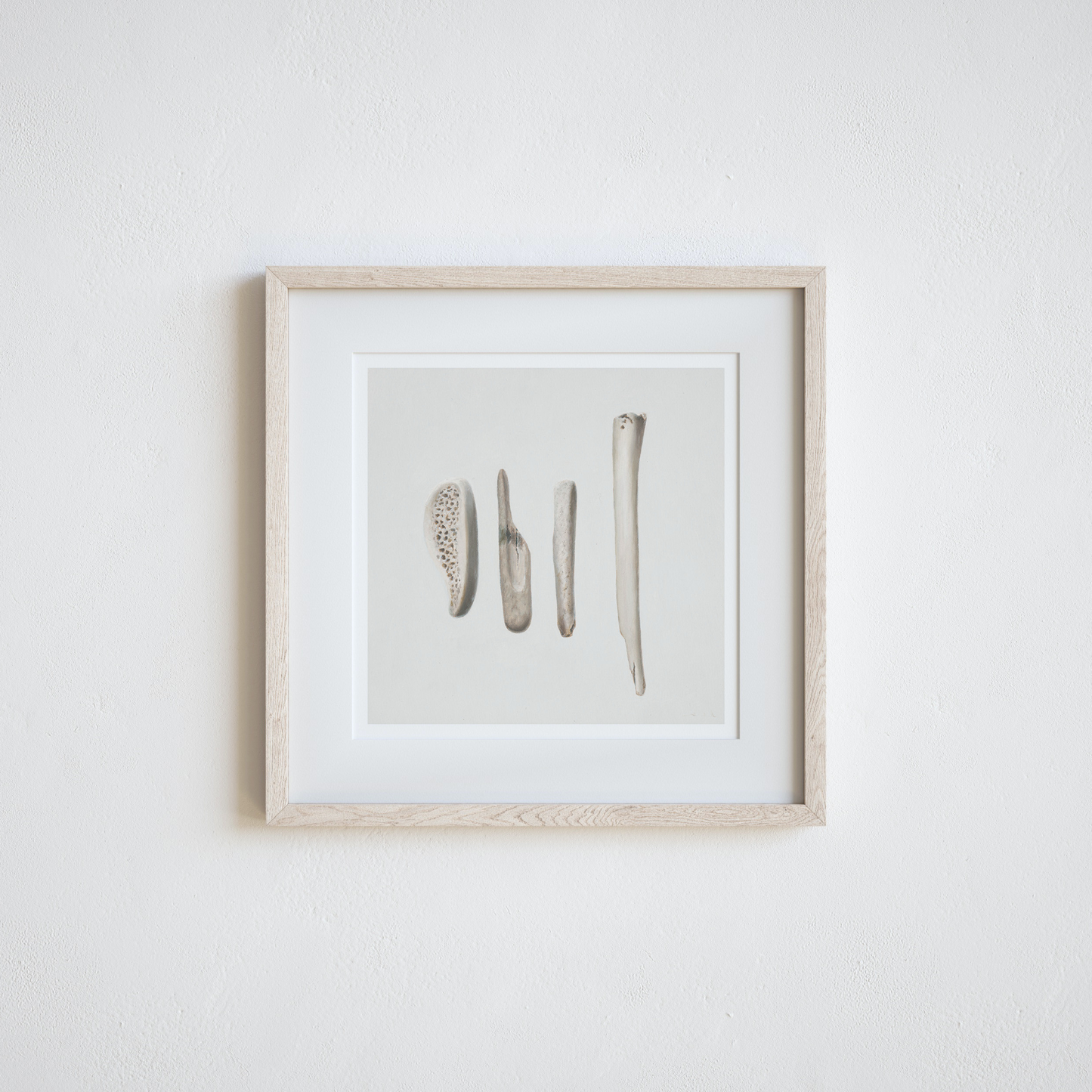 'Bones No. 4' Limited Edition Print