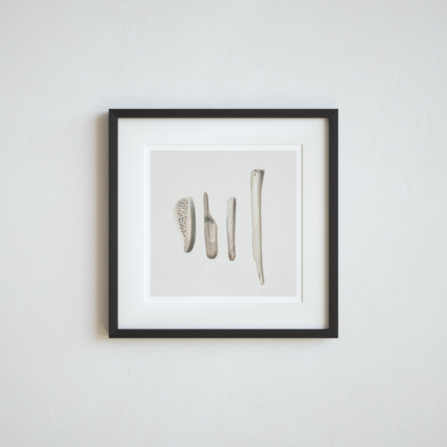 'Bones No. 4' Limited Edition Print
