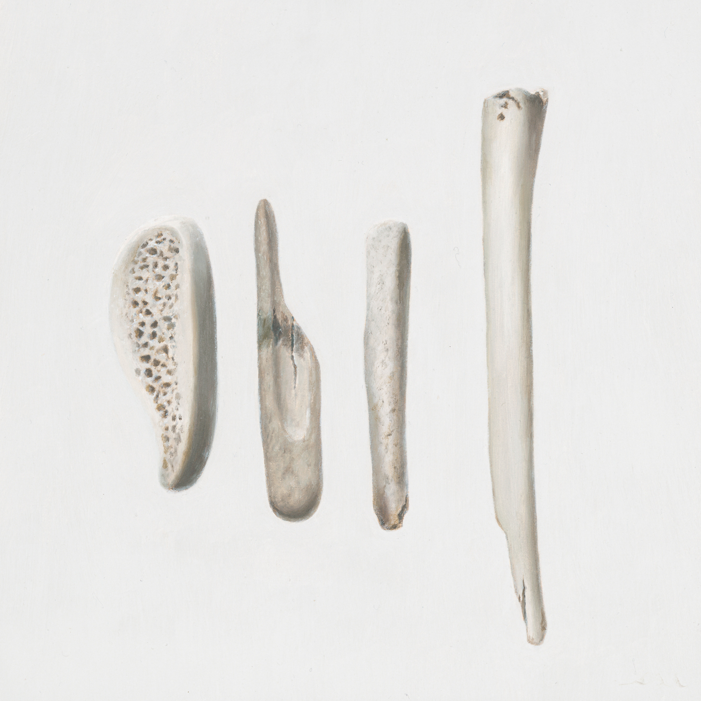'Bones No. 4' Limited Edition Print