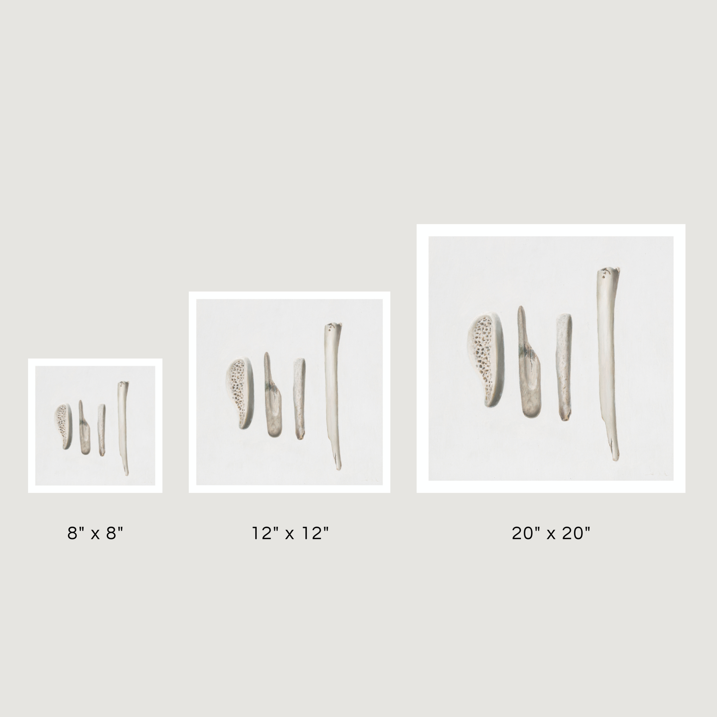 'Bones No. 4' Limited Edition Print