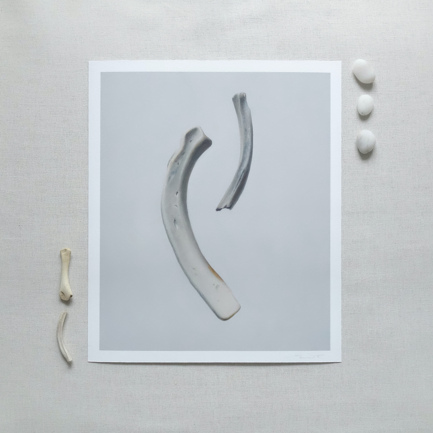 'Bone Duo' Limited Edition Print