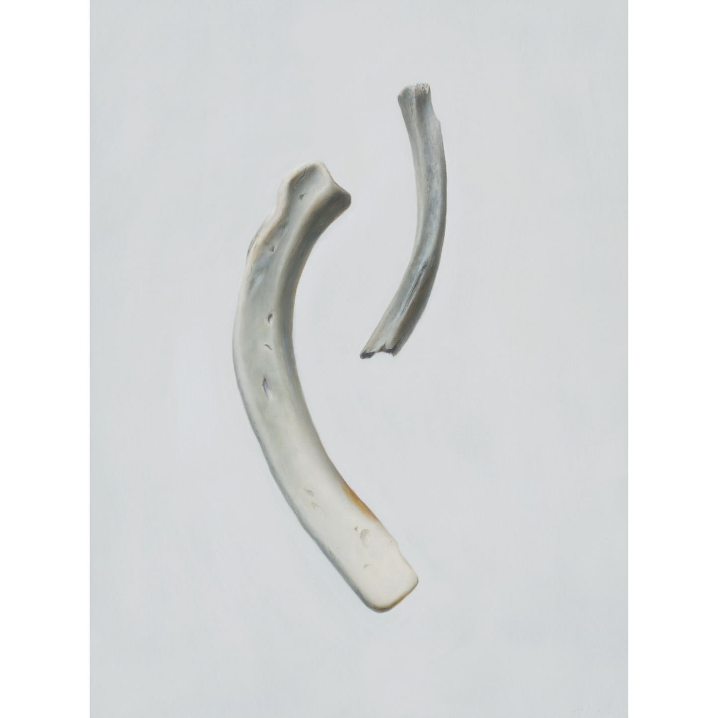 'Bone Duo' Limited Edition Print