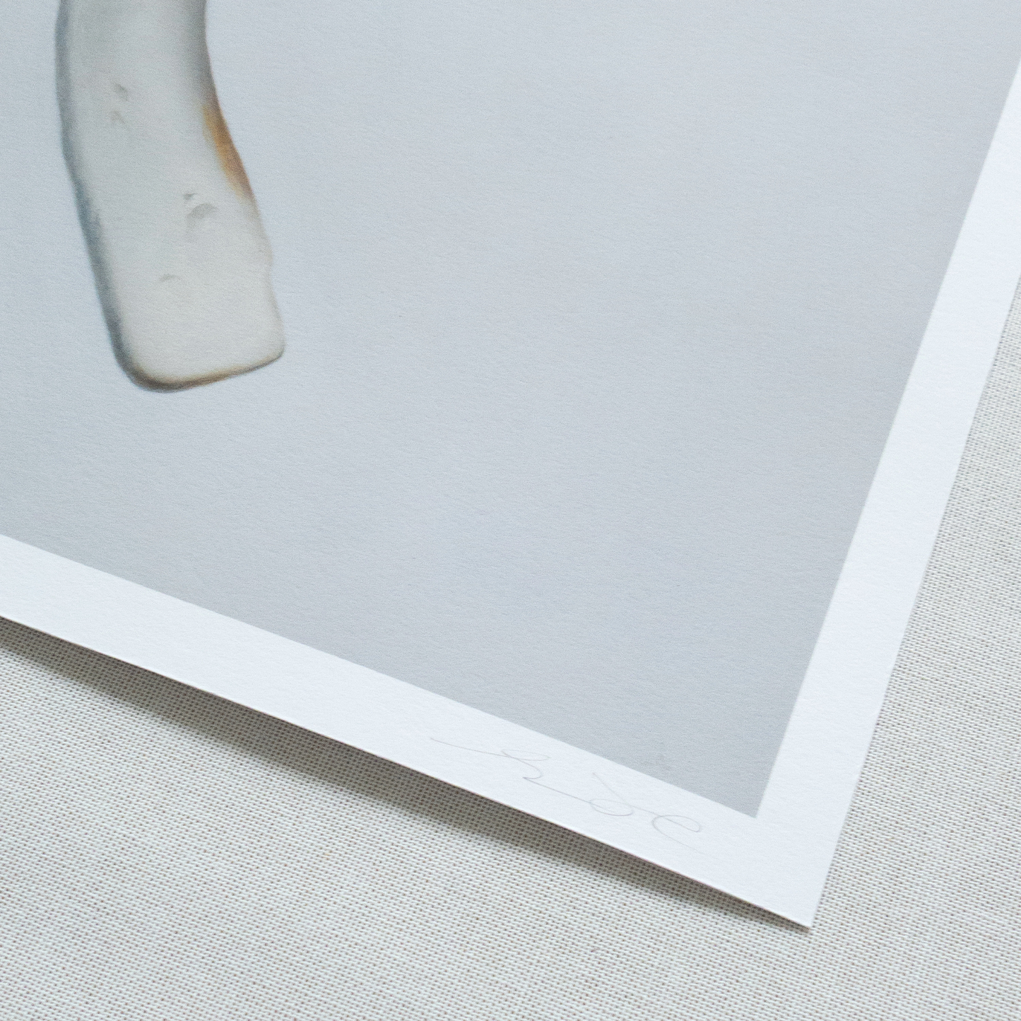 'Bone Duo' Limited Edition Print