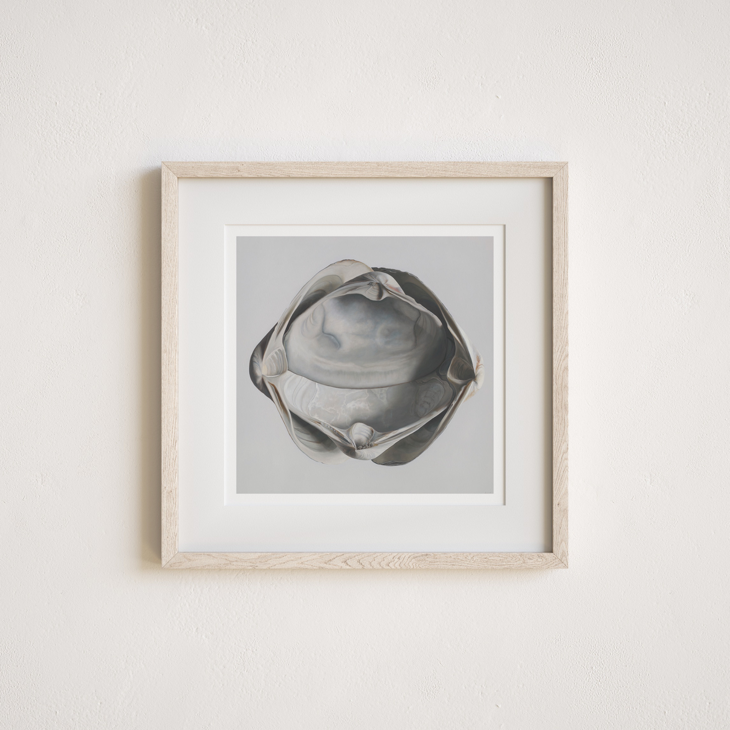 'Cradled Surf Clams' Limited Edition Print