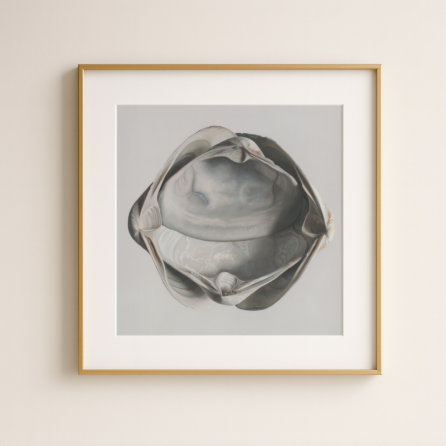 'Cradled Surf Clams' Limited Edition Print