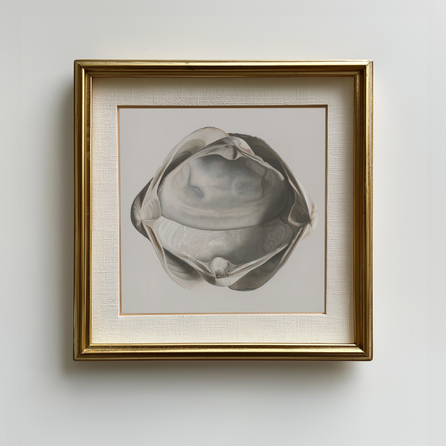'Cradled Surf Clams' Limited Edition Print