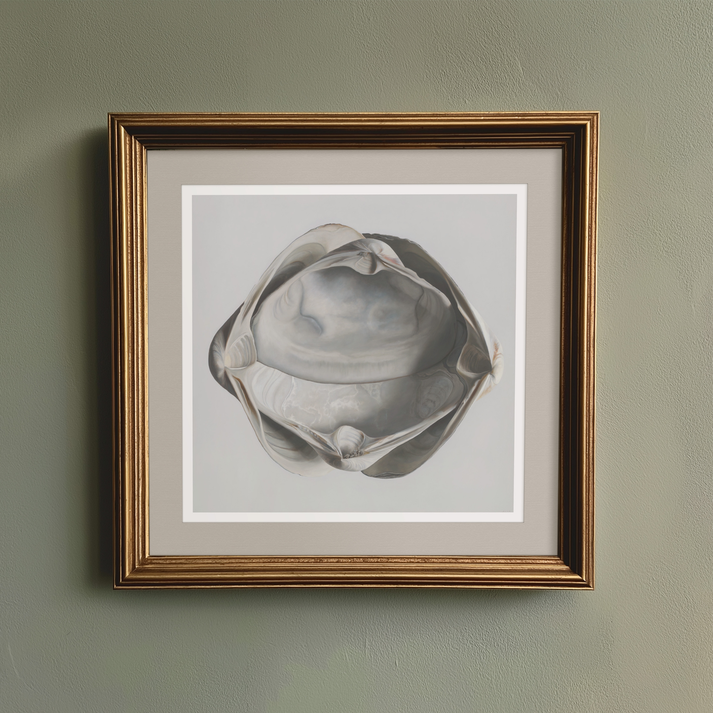 'Cradled Surf Clams' Limited Edition Print