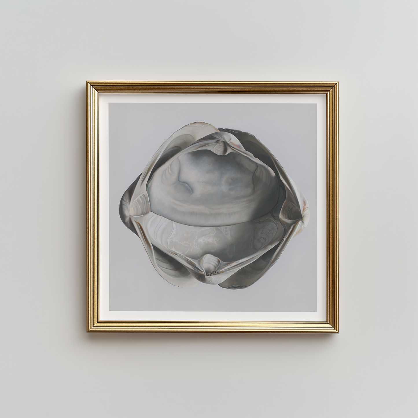 'Cradled Surf Clams' Limited Edition Print