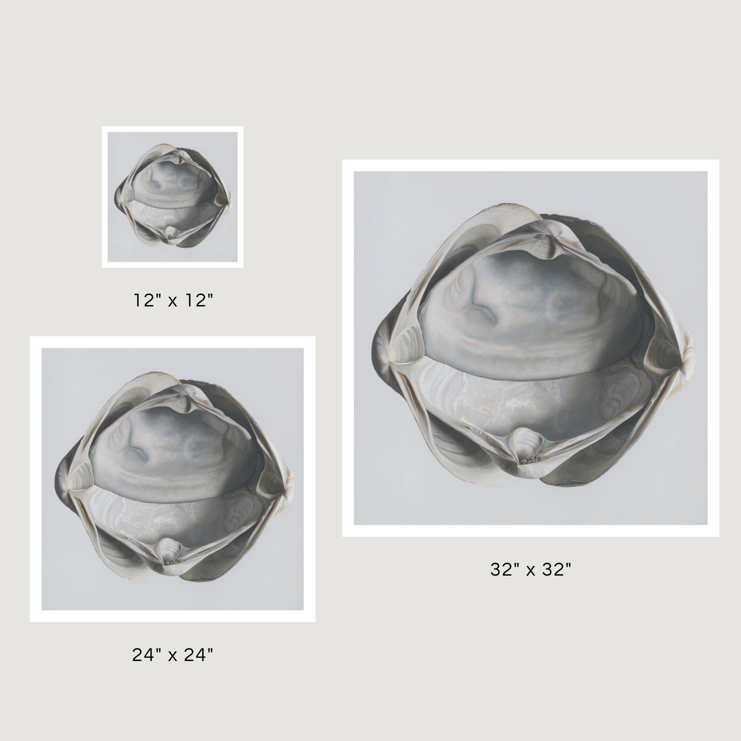'Cradled Surf Clams' Limited Edition Print