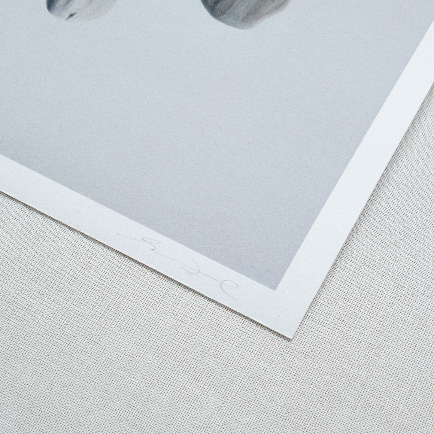 'Driftwood No. 2' Limited Edition Print