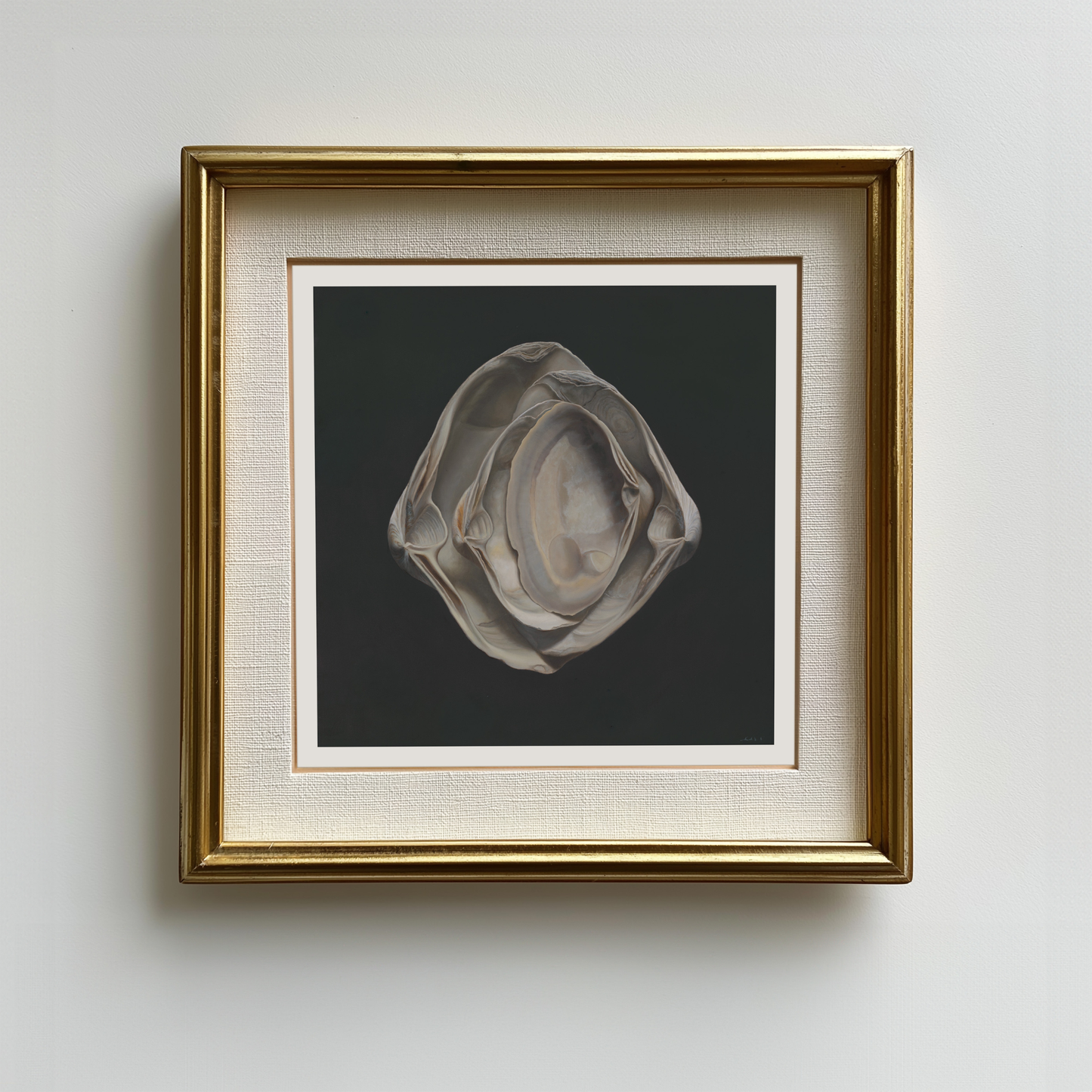 'Nested Surf Clams No. 3' Limited Edition Print