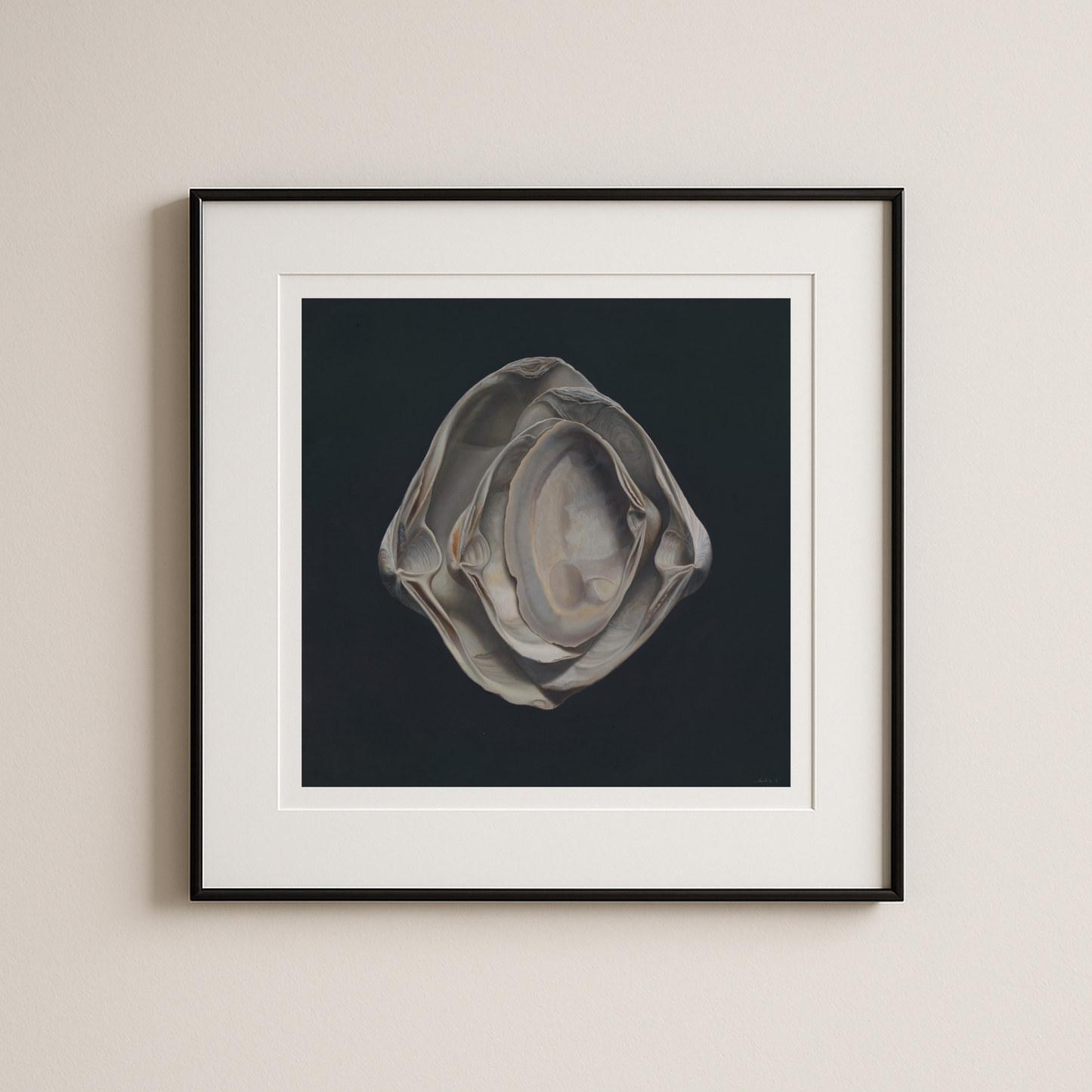 'Nested Surf Clams No. 3' Limited Edition Print