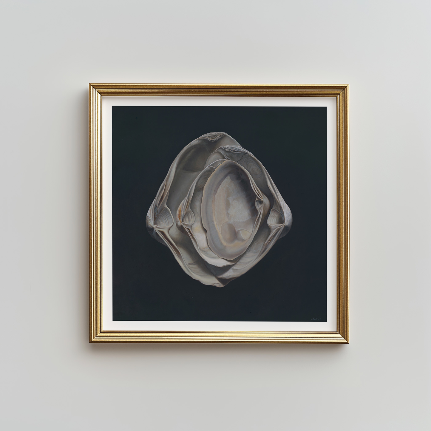 'Nested Surf Clams No. 3' Limited Edition Print