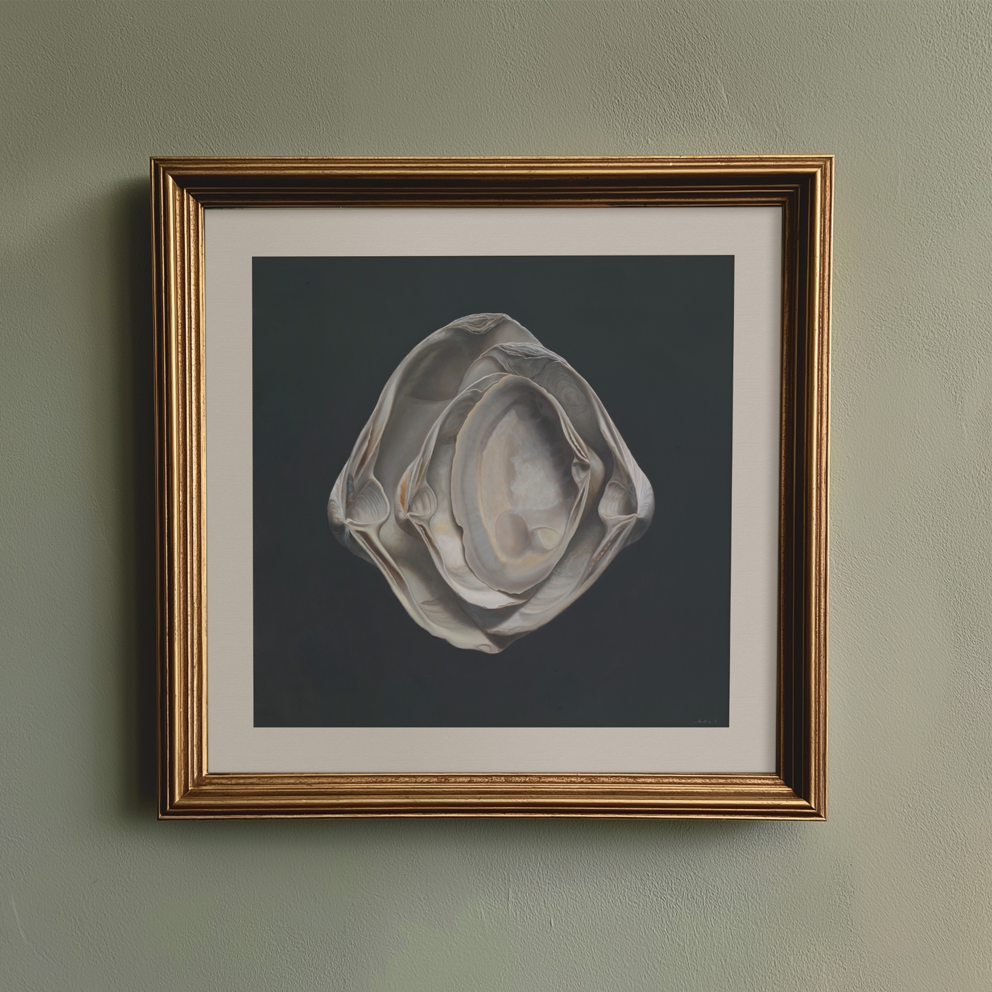 'Nested Surf Clams No. 3' Limited Edition Print