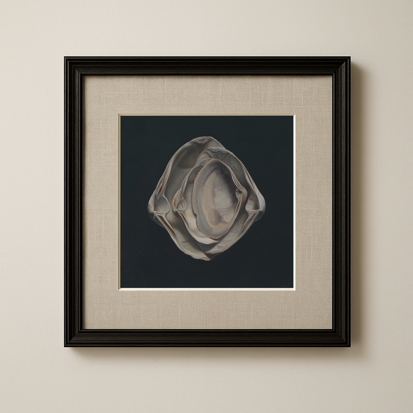'Nested Surf Clams No. 3' Limited Edition Print