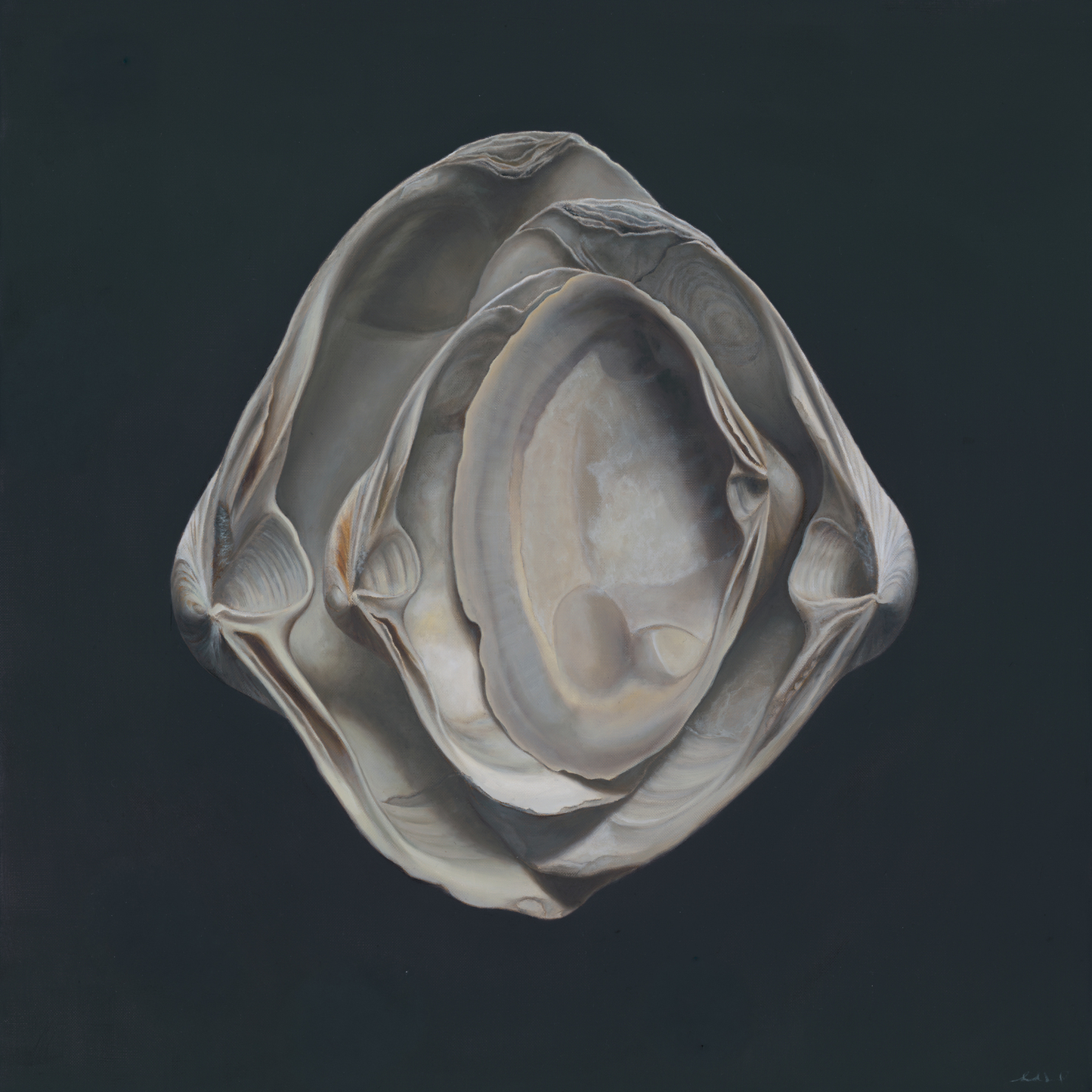 'Nested Surf Clams No. 3' Limited Edition Print