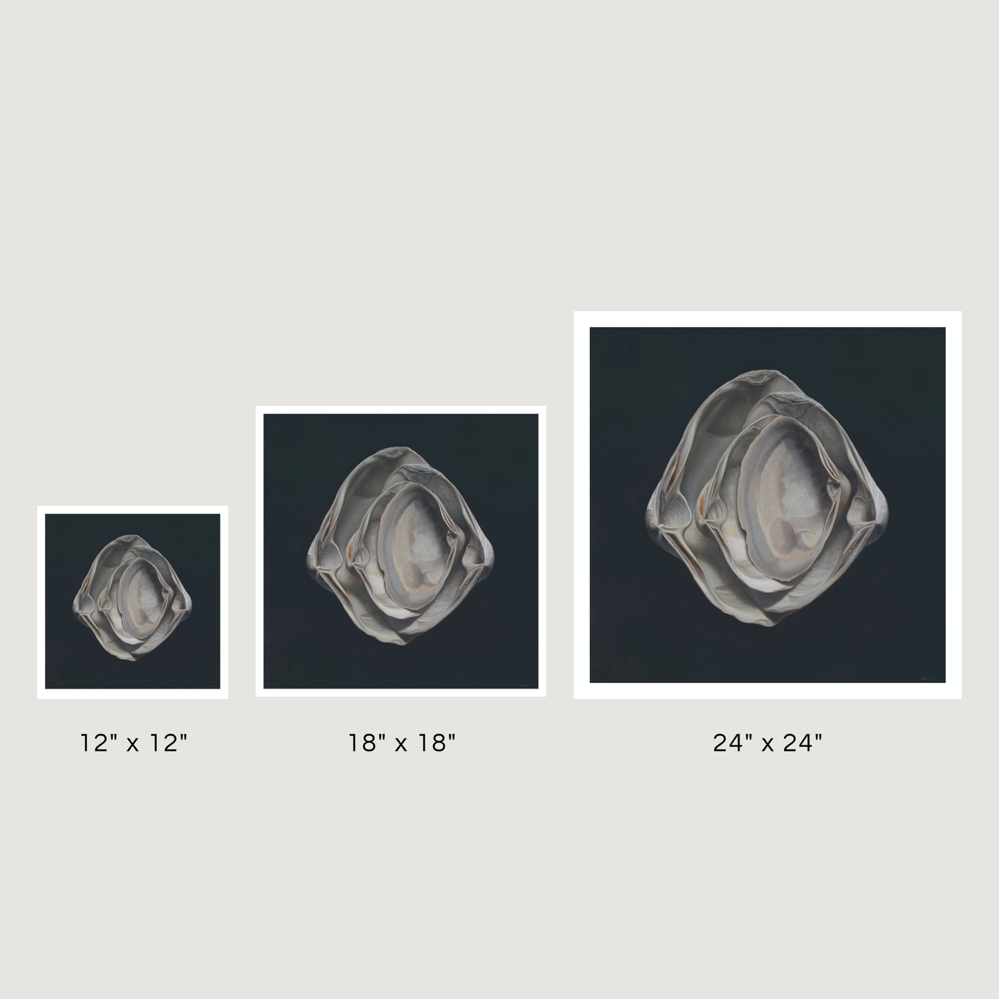 'Nested Surf Clams No. 3' Limited Edition Print