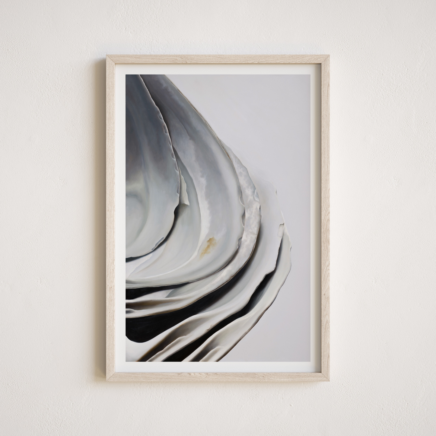 'Nested Surf Clams No. 6' Limited Edition Print