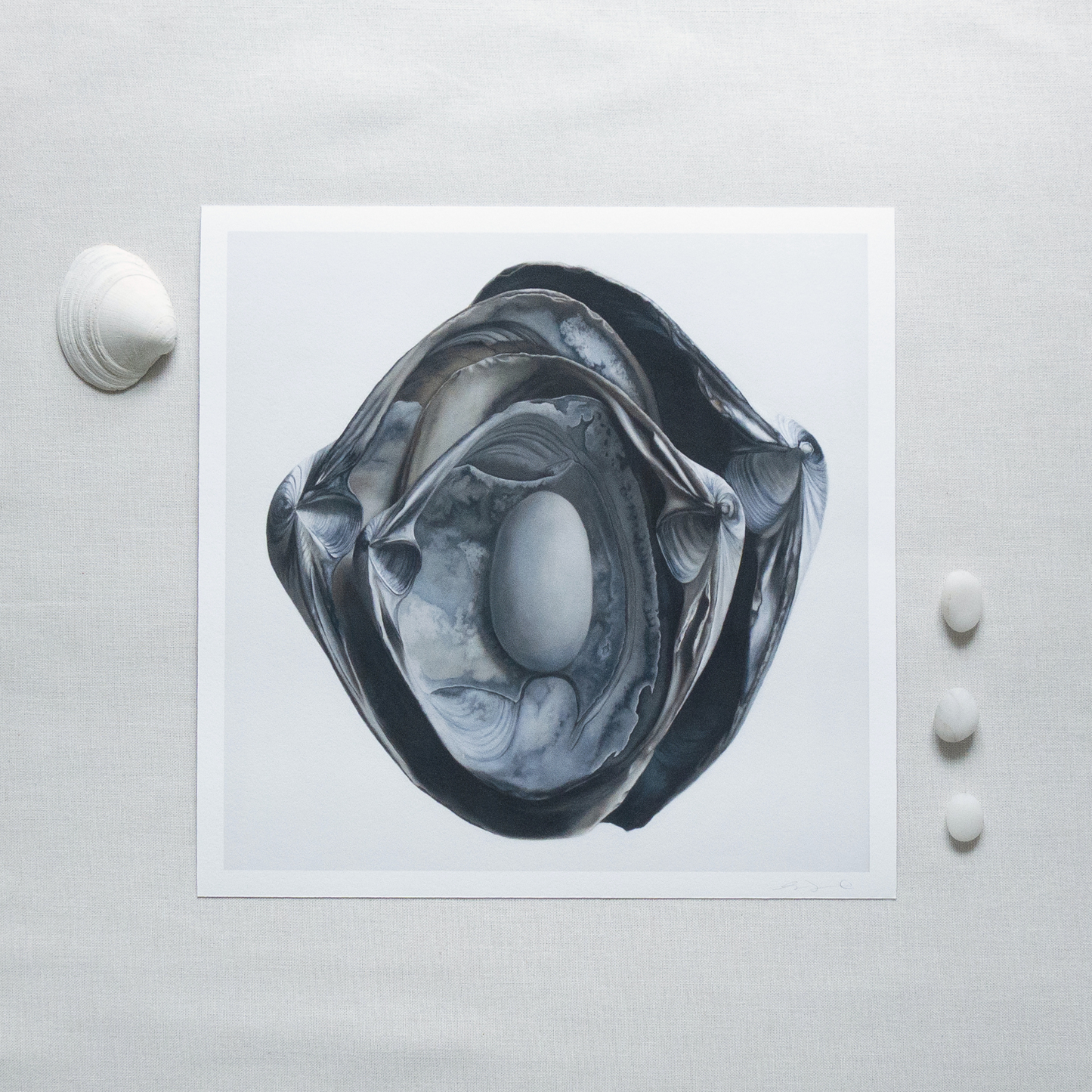 'Nested Surf Clams + Stone No. 3' Limited Edition Print