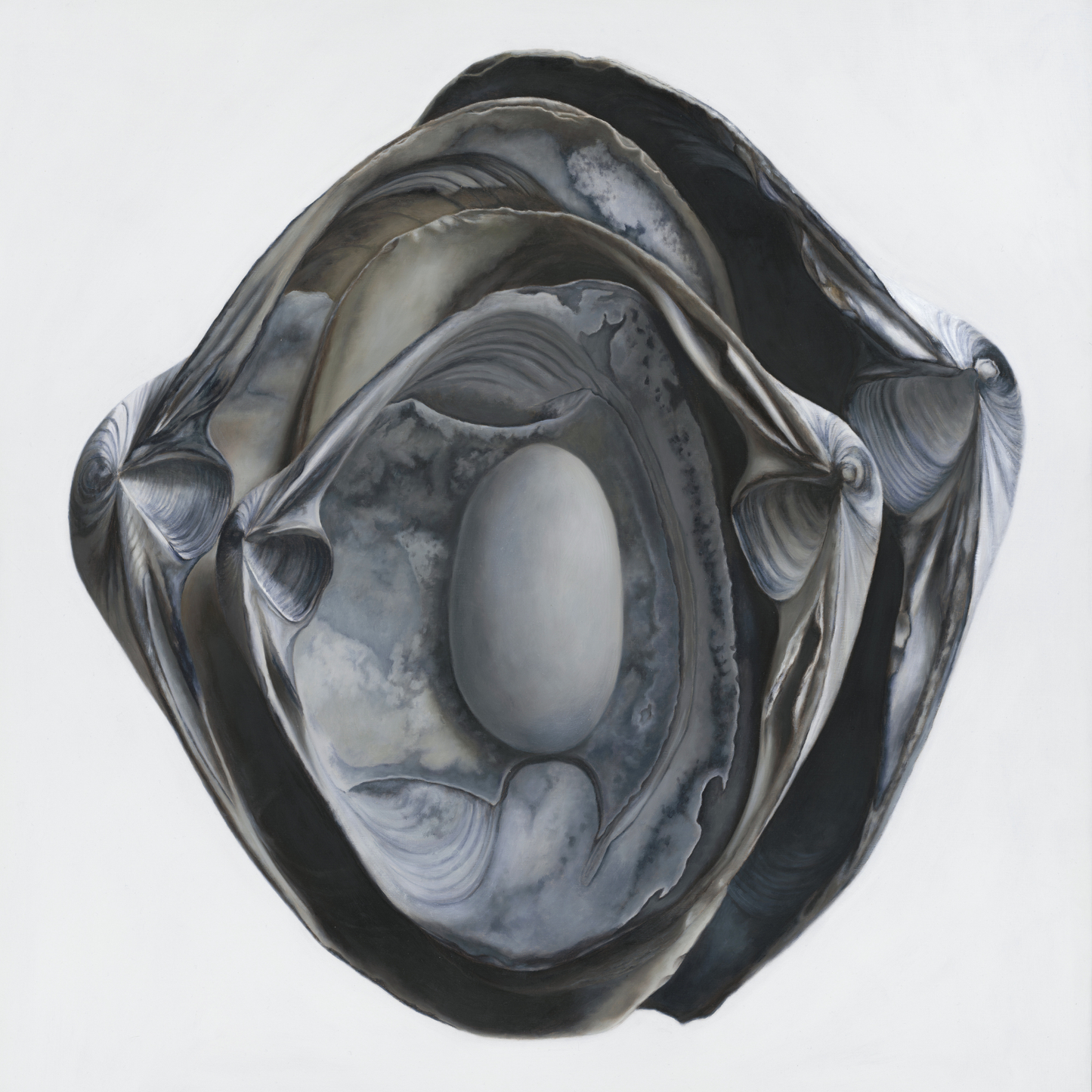 'Nested Surf Clams + Stone No. 3' Limited Edition Print