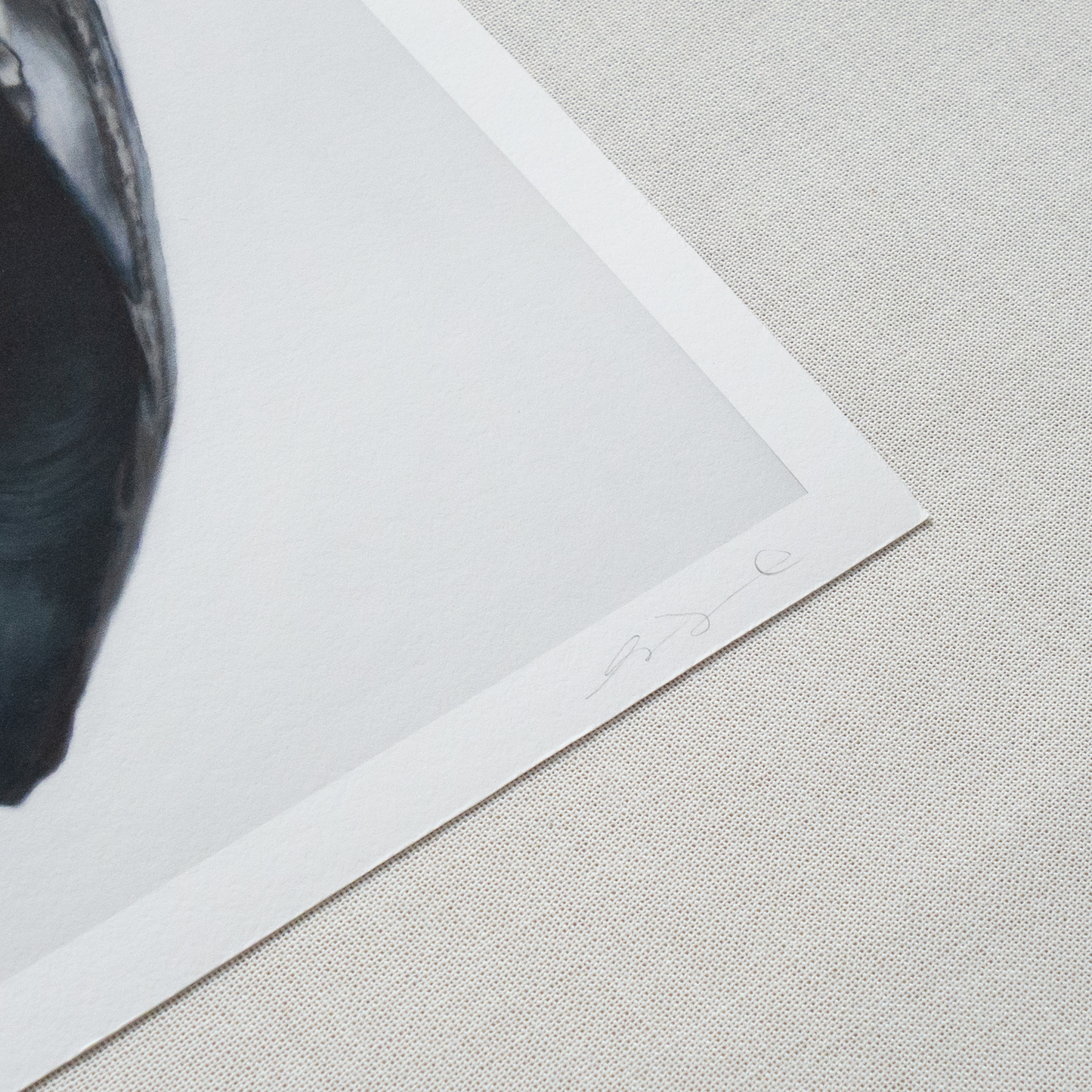 'Nested Surf Clams + Stone No. 3' Limited Edition Print