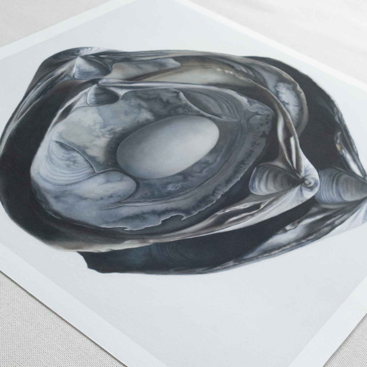 'Nested Surf Clams + Stone No. 3' Limited Edition Print