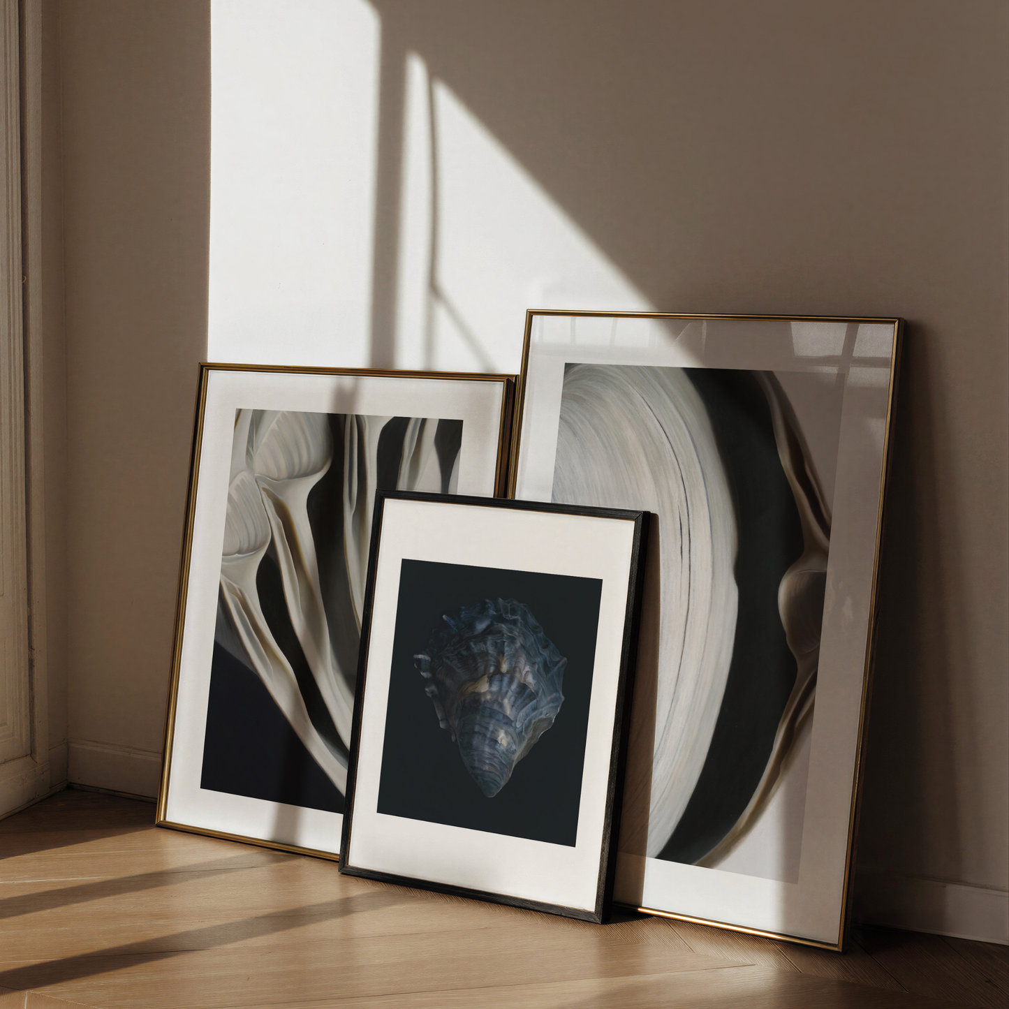 'Oyster Shell No. 4' Limited Edition Print