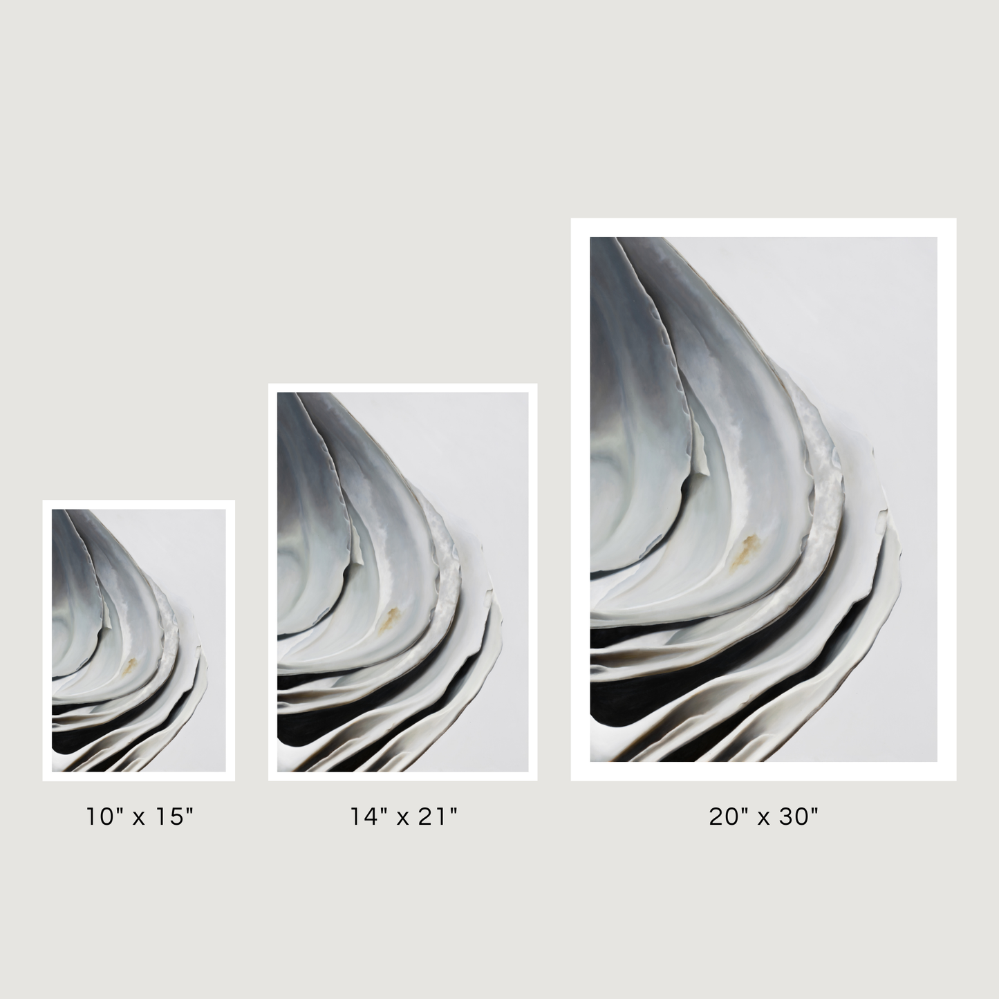 'Nested Surf Clams No. 6' Limited Edition Print